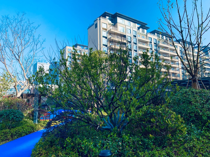 合能·枫丹江宁实景图