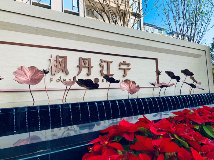 合能·枫丹江宁实景图