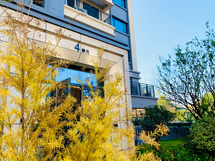 合能·枫丹江宁实景图