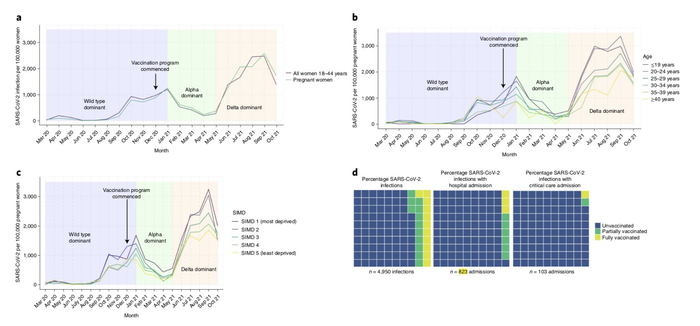 妊娠期SARS-CoV-2感染和疫苗接种状况。
