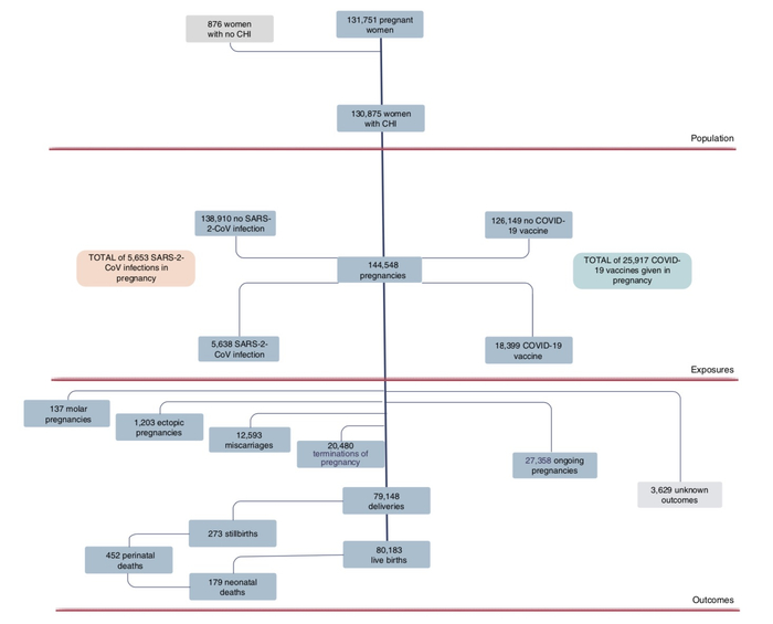 　本研究参与者情况。