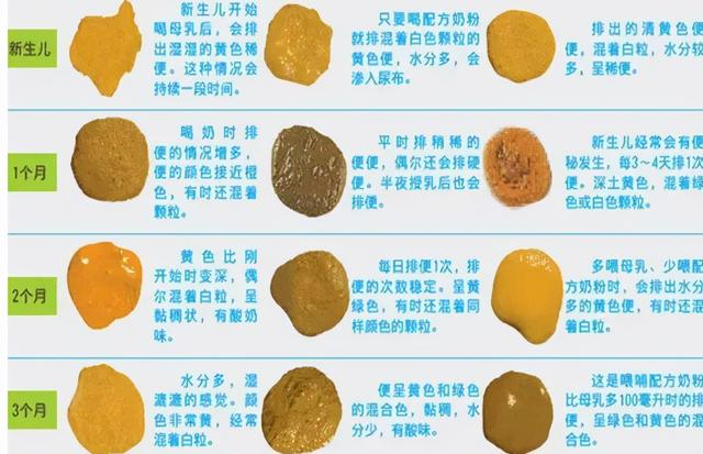 母乳虽然是世界上最有营养的"食物",但终归是液态营养.