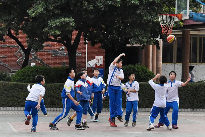 在课后服务上，同学们兴致勃勃地打篮球，享受篮球带来的魅力。