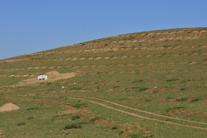 崇礼山坡 刘华杰 摄