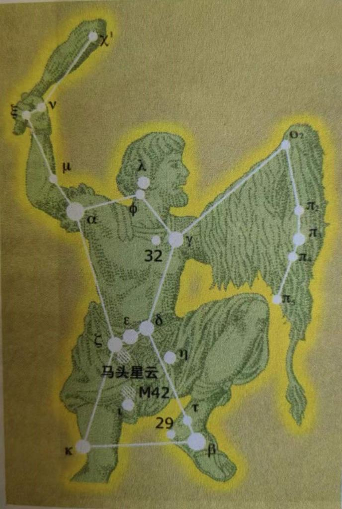 猎户座。来源：《星座与希腊神话》（冬）