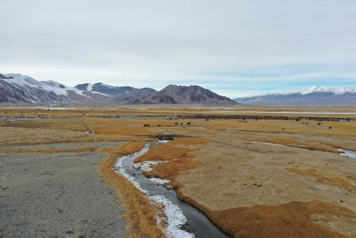 阿布都加帕尔·猛德的牧场。新京报记者 马骏 摄