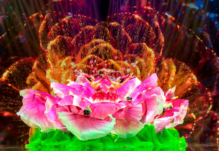 由川渝两地演员带来的《双生花》节目，让整个舞台秒变“花间天堂”。雷亮 摄