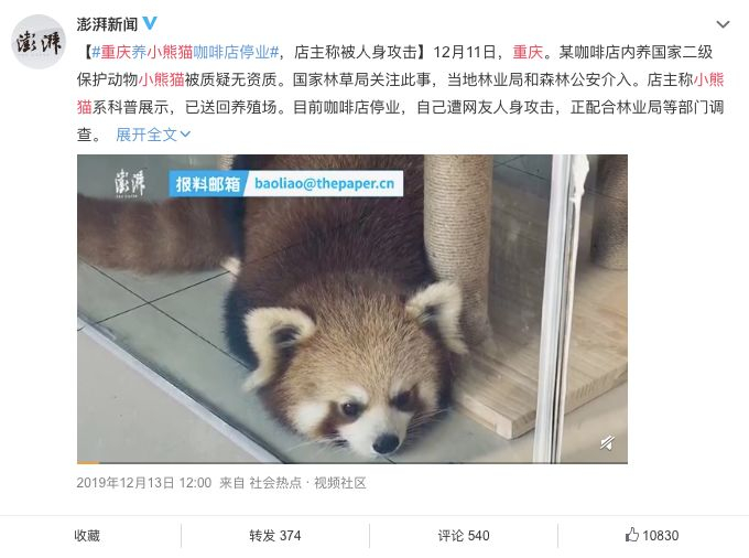 小熊猫咖啡馆停业