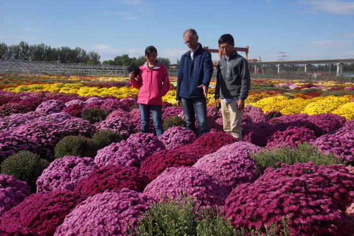 专家交流指导（右一为王中轩）