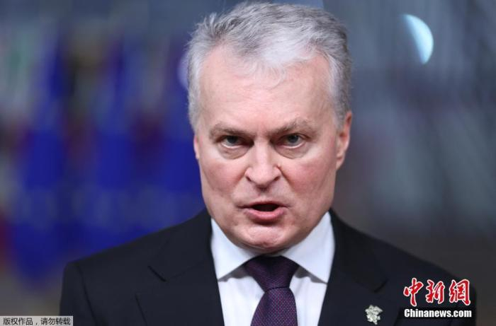 资料图：立陶宛总统瑙塞达。