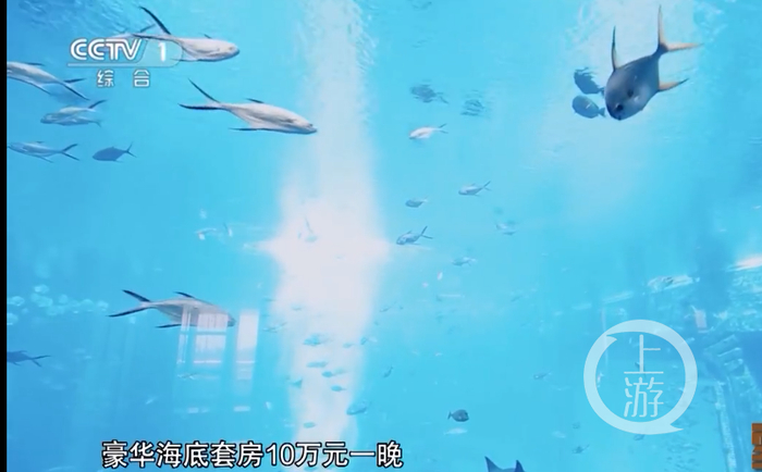 ▲海南最贵的豪华海底套房10万元一晚，张雨杰和女友连住4晚。图片来源/央视截屏