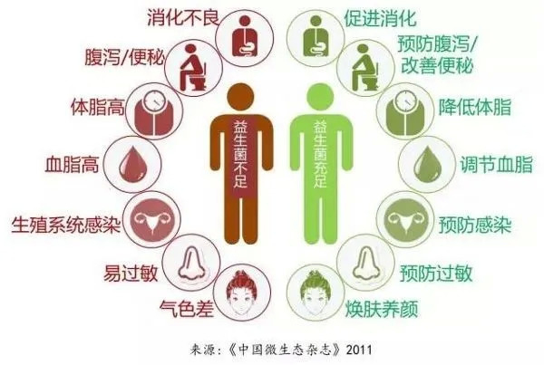 益生菌部分功能研究