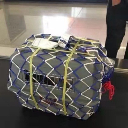 航空或铁路运输对宠物托运有具体要求，需要提前了解。受访者供图