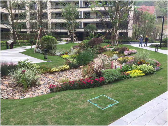 建筑与小区-两江新区望江府 市住房城乡建委住建供图