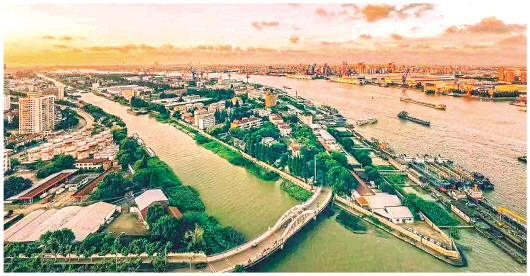 复兴岛全景。受访者供图（王洪刚摄）