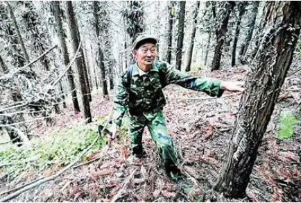 胡值朝在巡山护林。