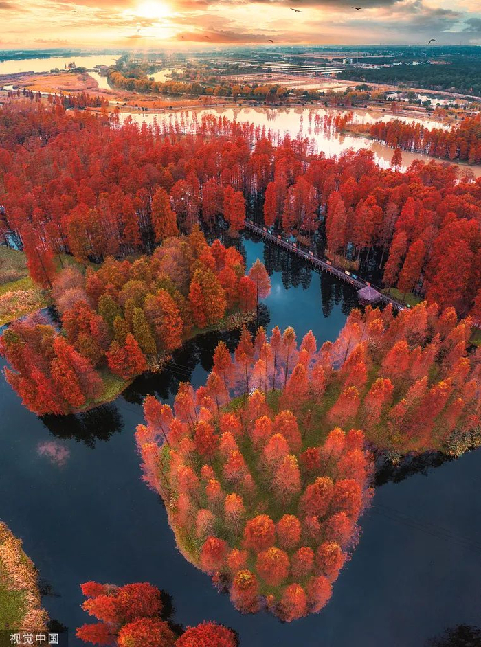 如今的青浦区青西郊野公园