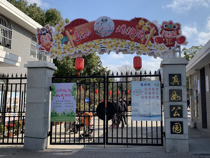 真如公园正在举办一年一度的蜡梅展。   澎湃新闻记者 王昱 图