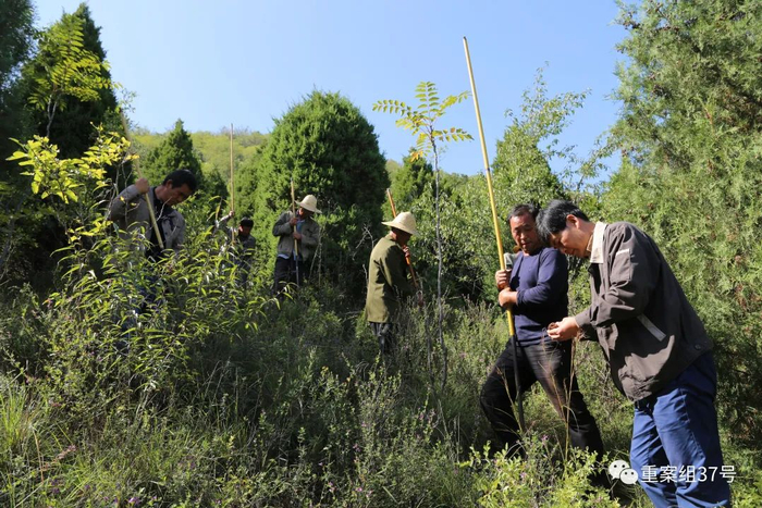 马永嬴（右一）带着工作人员在凤凰嘴山腰上勘探。图片来源：陕西省考古研究院 