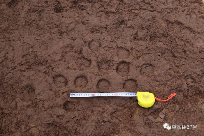 外园墙墙面的夯窝。受访者供图