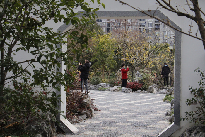 闻香而来的市民   澎湃新闻记者 王昱 图