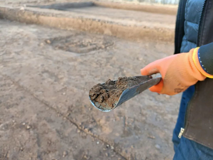 ▲探铲底部有一层暗蓝色的土，汪照宏猜测这是陶器。新京报记者 吴采倩 摄