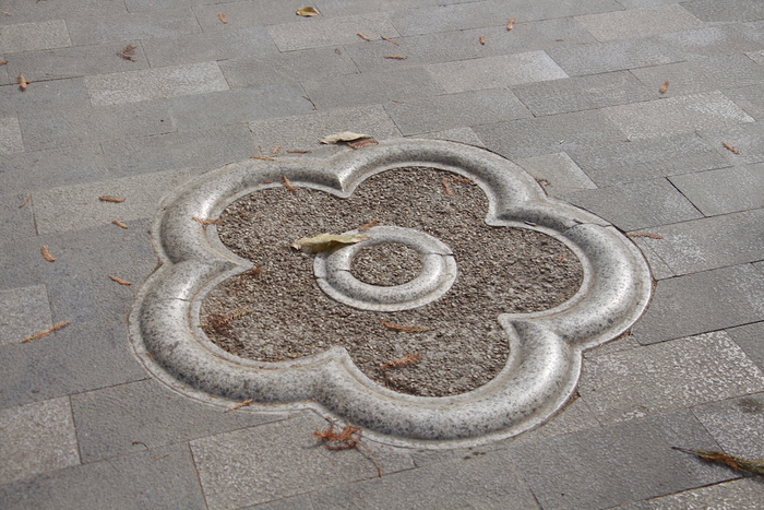 蜡梅甬道上的蜡梅标志。 澎湃新闻记者 王昱 图