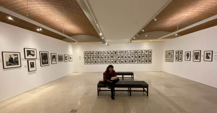 展厅现场，鲁迅肖像及插图