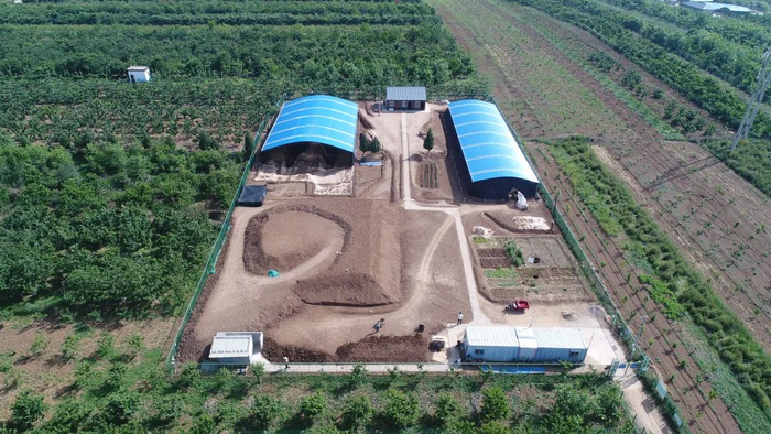 ▲江村大墓1号发掘点远景。图片来源：陕西省考古研究院