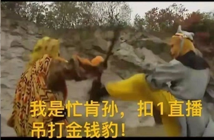 分享表情包 stop,不可以涩涩