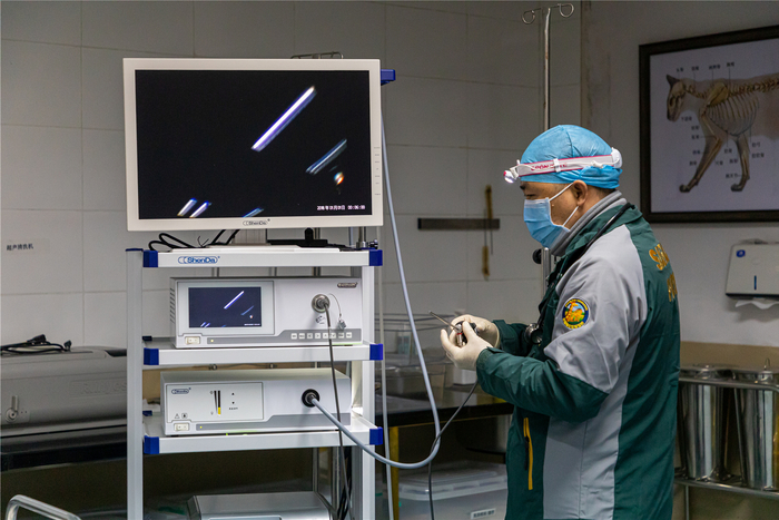 广州长隆野生动物世界化验员正在工作。