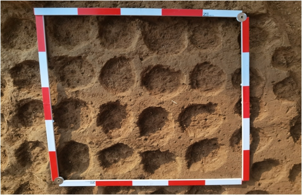 粗夯工具印痕。陕西省考古研究院供图