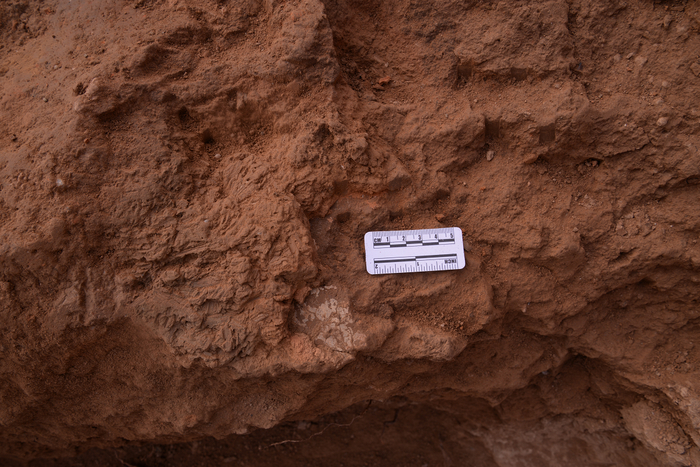 门道处草拌泥及彩绘残块。陕西省考古研究院供图