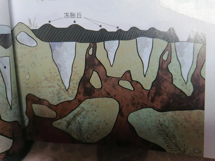 【新微专题】冰土地区的热溶地貌与热溶湖形成|微生物|冻土|冻土层|裂隙|地表_新浪新闻