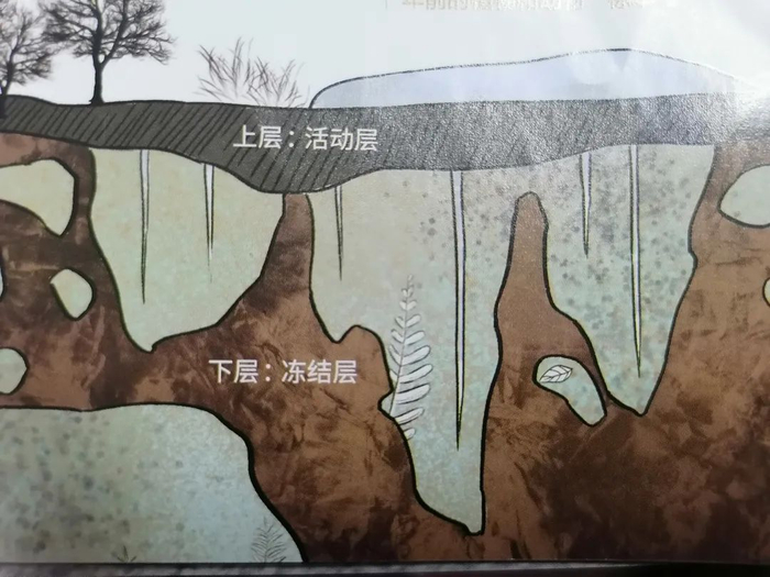 【新微专题】冰土地区的热溶地貌与热溶湖形成|微生物|冻土|冻土层|裂隙|地表_新浪新闻