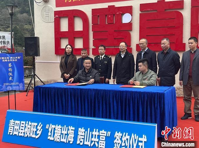 浙江青田祯旺乡“红糖出海·跨山共富”签约仪式 陈九豆 摄