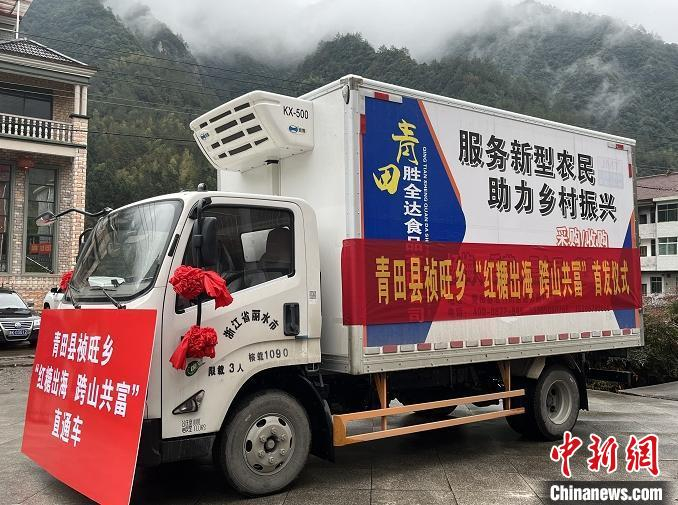 浙江青田祯旺乡“红糖出海·跨山共富”直通车首发 陈九豆 摄