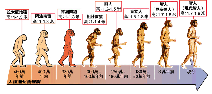 地球10万年前至少还有6种人类,为何最后,只剩下我们?