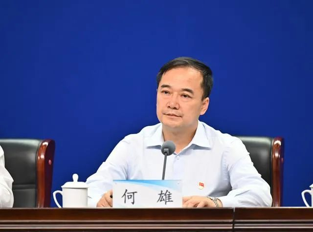 何雄 资料图