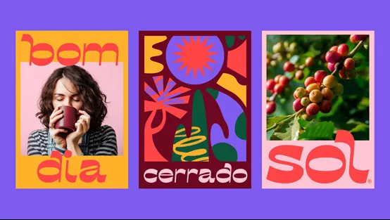 图片来源：DIELINE官网