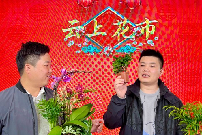 △资料图：广州市2022年迎春“云上花市”启动活动在花都区赤坭镇竹洞村举行。（莫伟浓 摄）