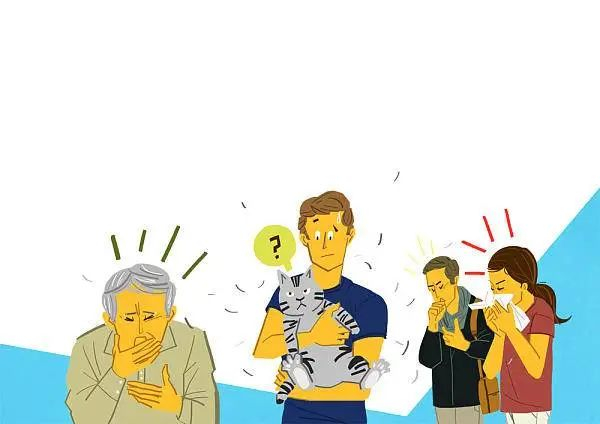 猫毛确实是致敏原一种。图源 视觉中国