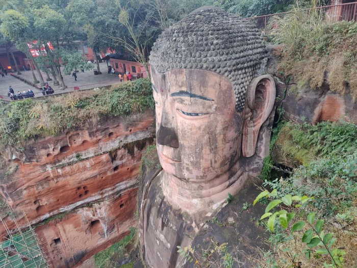 ▲2022年1月13日，乐山大佛“脸花鼻黑”，草木生长其上。新京报记者 汪畅 摄