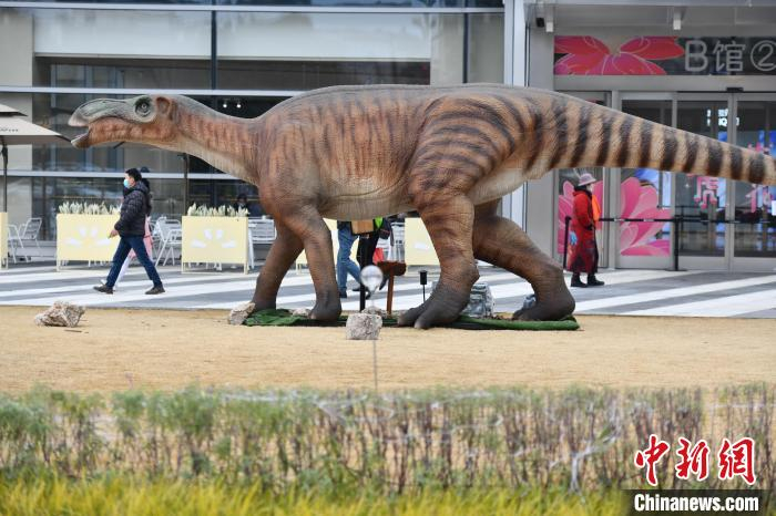 按照1:1比例设计而成的仿真恐龙。　张浪 摄