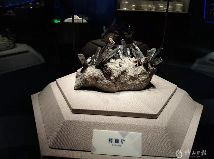 辉锑矿。佛山日报记者 黄鹤婷 摄