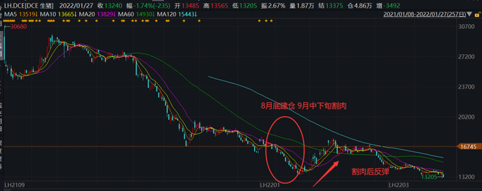 图源：每日经济新闻
