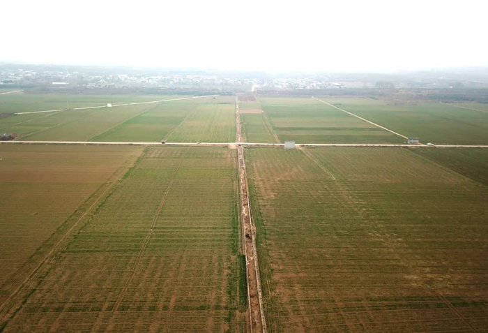 河南省洛阳市孟津区平乐镇金村东周王陵区地表现状。资料照片（洛阳市文物考古研究院供图）