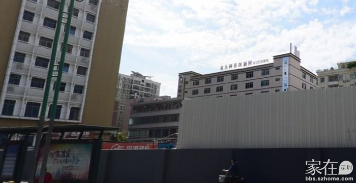 以上图片来源：家在深圳