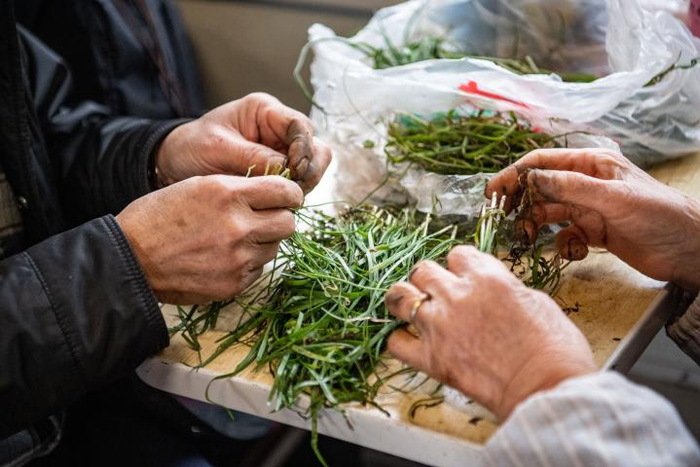 　　1月27日，旅客在“慢火车”上摘菜。新华社记者 唐奕 摄