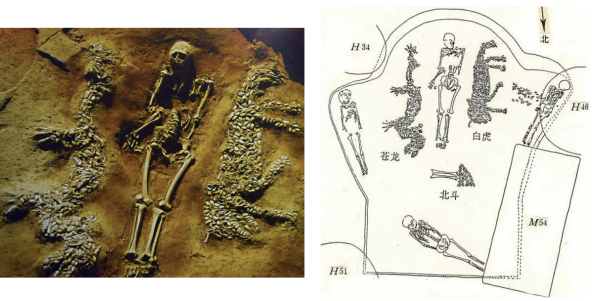 图1：濮阳西水坡仰韶文化遗址蚌塑龙虎墓局部（左）及其所代表的星宿投影示意（右）
